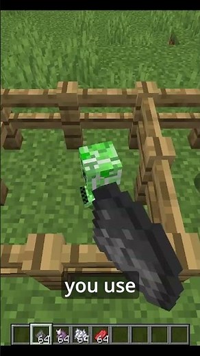 You Can Tame Baby Mobs in Minecraft Now