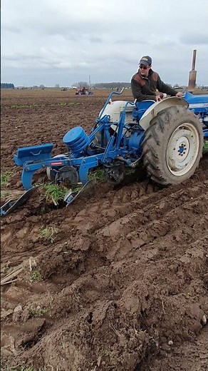 Ford 3000 Ploughing at Lindholm Doncaster 4th March 2023