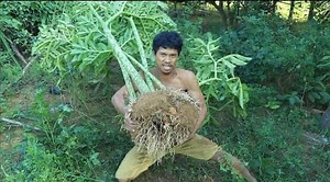 Find (SMUV) are food. #reelsvideo #lifestyle #love #reels #viral #food #shorts | Beautiful World