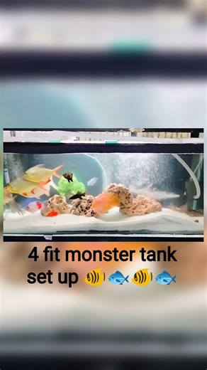My 4 Feet Monster Tank #aquariumsetup#fish#aquarium#fishaquarium#tropicalaquarium#oscarfish