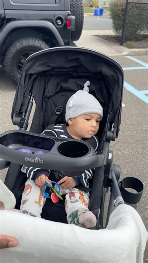 604K views · 10K reactions | Baby Ocean on his first walk ☺ | A Life Less Scripted | Facebook