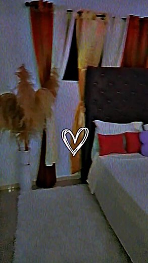 Videos de Alejandra Rodriguez (@alejandra.rodrigu8690) con “sonido original - Alejandra Rodriguez”