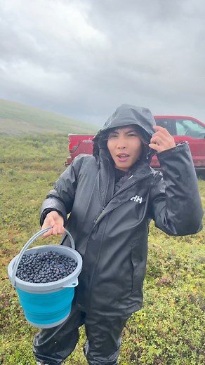 #pinaysaalaska #blueberrypicking #buhayprobinsya #alaskaliving #fbreelsfypシ゚viralシ | Pinay sa Alaska
