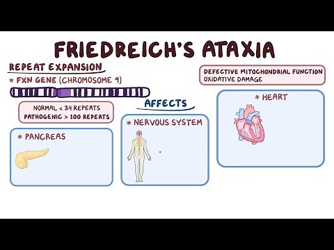 What is Friedreich’s Ataxia? Causes, Symptoms & Inheritance