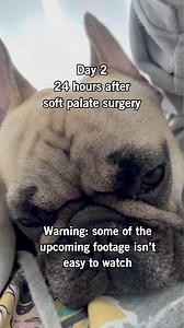 194K views · 9.2K reactions | We promised a lot of followers that we...