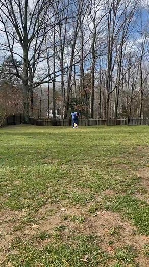 🎁Advanced Recall Exercise🎁 #dogtraining #dogtrainer #positivedogtraining #forcefreedogtraining #dogtrainingtips #dogtraininglife #dogbehavior #dogobedience #obediencetraining #trainyourdog #rewardbasedtraining #dogtrainersofinstagram #dogtrainingjourney #dogtrainingadvice #boardandtrain #BestBuddyDogTrainer #MarylandDogTrainer #SouthernMarylandDogs #dogtrainingacademy #inhomeobediencetraining #dogtrainingprogram #dogtrainingclass #dogtrainers #dogtrainingvideos #dogtrainingcommunity #dogtraini