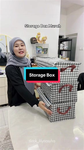 Storage Box Organization Ideas