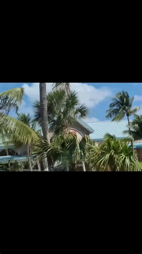 *starts aggressively swearing in swedish*