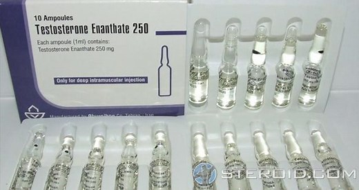 Testosterone Enanthate