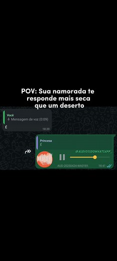 Áudio Engraçado: Memes para WhatsApp e Momentos Únicos
