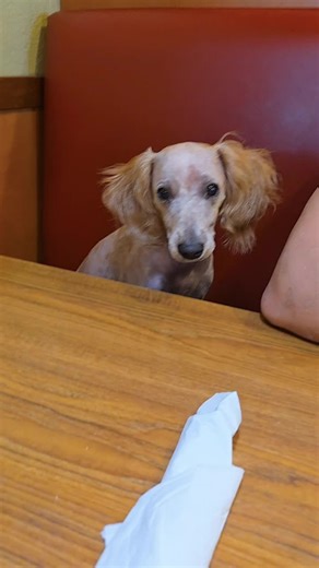 Debra (@bunnyrunny7777)’s video of emerald green jade ball