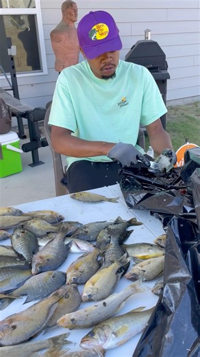 Catch, Clean & Cook‼️ #fishing #fishfry #country #lifestyle #outdoors #subscribe #bream #bass