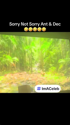 Every night I make an impression of @Ant & Dec entrance to I’m A Celeb lol 😂 I know my geordie impression isn’t very good but it always puts a smile on my face haha sorry Ant and Dec 😅 @I'm A Celebrity... @ShonaMcGarty @Aitch @ITVX @itvnews @Lorraine @This Morning @Amanda Holden @Simon Cowell @Britain’s Got Talent @Alesha Dixon @Perrie. @JADE @Leigh-Anne #ImACeleb #AntandDec #ImACelebrity #ITV #Viral