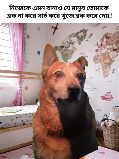 নিজেকে এমন বানানোর মজার উপায়