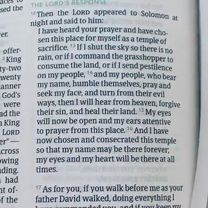 2Chronicles 7:12-16. Listen up, it’s an important one 🙏🏻! ALL people of God, humble yourselves, PRAY, seek God’s face and turn from your sinful ways. God forgives. God heals. God sees and hears our prayers. His eyes and heart are with us at all times. - I hope this blesses you and you walk away with urgency to pray with humility for the healing of our people and land- the world. Amen. #fightforgood #prayer #forgiveness #trust | Candace Cameron Bure