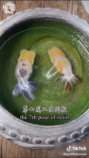 Mesmerizing 3D Goldfish Painting in Resin