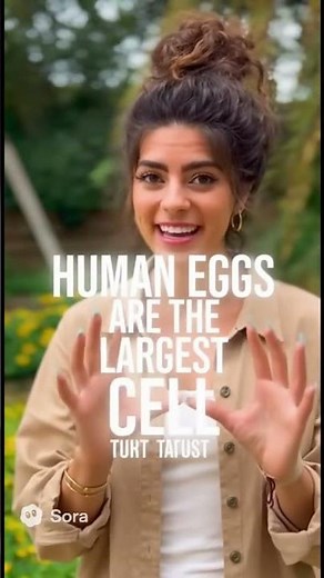 Fun fact about reproduction￼￼