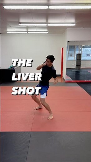 The Liver Shot: How to Properly Throw It | #boxing #boxingtraining