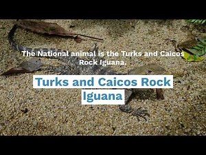 Symbols of National Identity – The Turks and Caicos Islands
