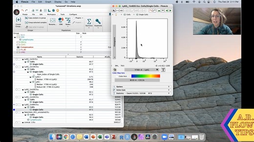 FlowJo Tutorials_7_Stain index (difficult stains)