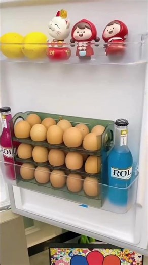 Egg Rack for Fridge – Best Refrigerator Egg Organizer