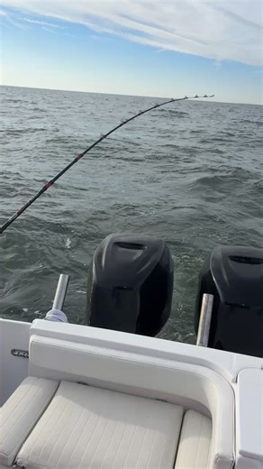 WC SportFishing Charters on Reels