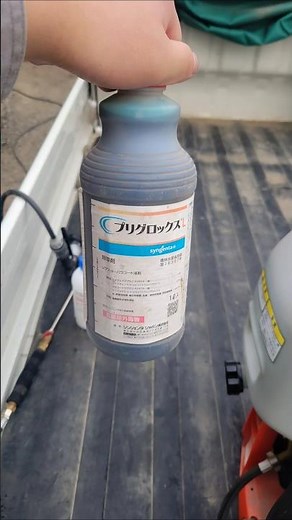 ほうれん草の畝間に除草剤散布＃プリグロックスL＃丹波篠山＃除草剤＃発芽抑制剤＃共立＃共立動噴＃背負い動噴#暑い#動噴#東海近畿クボタ#噴霧器＃株式会社やまびこ＃やまびこグループ