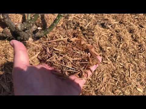 What You Need To Do BEFORE You Put Down Mulch