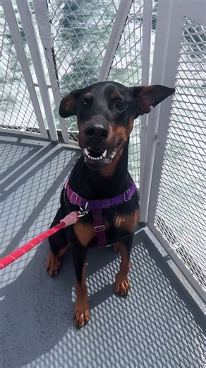 ❤️ IB: @Moose | moose