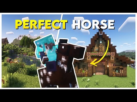 How I Bred the Perfect Horse in Minecraft Survival