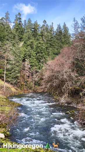 River flows, #oregon #nature #adventure #hiking #river