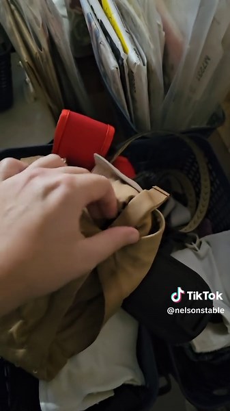 Nelson's Table on TikTok