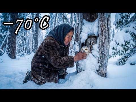 An Elderly Woman Rescued a Frozen Owl and Her Chick in Yakutia—What Happened Next Changed Everything