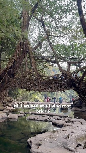 228K views · 4.8K reactions | My first day walking in India!  #india #meghalaya #livingrootbridge #hiking | Alexander Campbell | Facebook