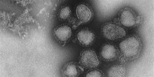 Aggressive flu strain spreads across U.S., with experts predicting more cases after holiday travel