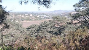 Torrey Pines state park, natural reserve for ecotourism, trekking and trails hiking, suburban coastal California, USA. Environmental conservation, wilderness near San Diego. Plants greenery and houses