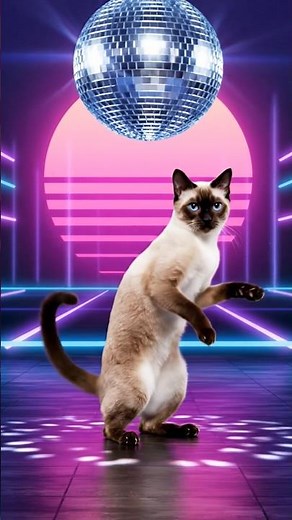 cat dancing on dance floor dance in party birthday music loud #catlife #catdancing