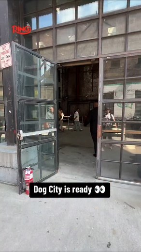Ring Magazine | The scene is set at Dog City 👀 Two fighters competing at Ring and BOXRAW’s Sparring Club will be selected to fight on the Canelo vs... | Instagram