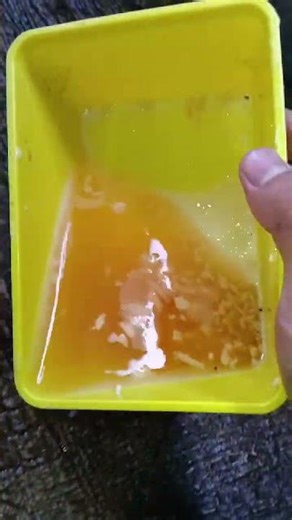 the process of sedimenting sago flour to make papeda #bangzidun #tepungaci #sago #papeda