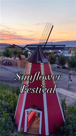 Utah’s Most Magical Sunflower Festival!