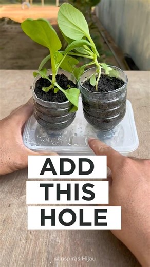 Smart Watering Hack! Add a Small Hole for Easy Bottom Watering