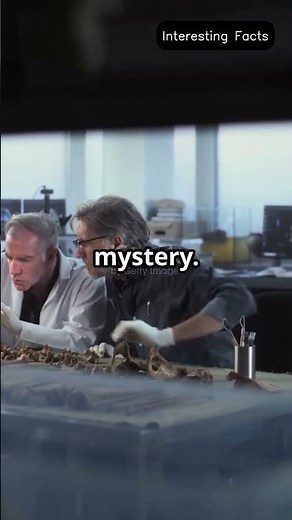 "The Bloop: The Ocean's Mysterious Sound That Baffles Scientists"