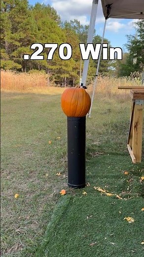 EXPLODING PUMPKINS?! (Do they really explode when shot)