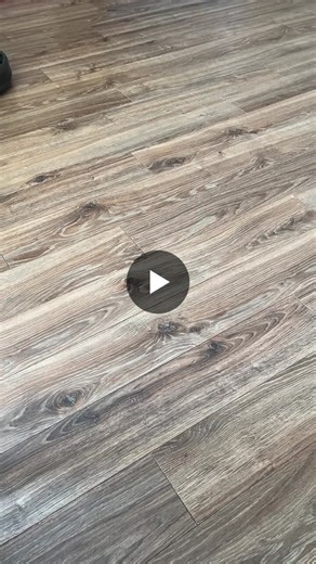 My new robot vacuum arrived this week. I named her Roberta-- after the only maid Emily Gilmore kept longer than a week. I thought I could turn this into a post about how AI has kept my work as… | Carol J. Alexander 🏡 | 16 comments
