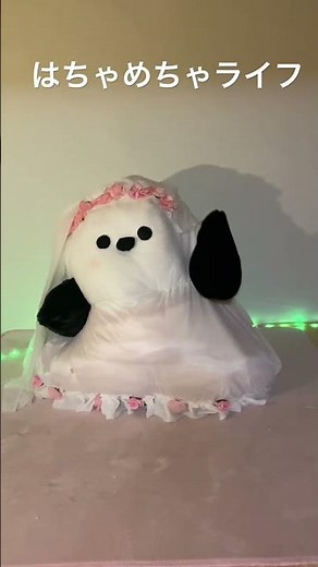 はちゃめちゃライフ！踊ってみた #shortsfeed #ショート #はちゃめちゃわちゃライフ