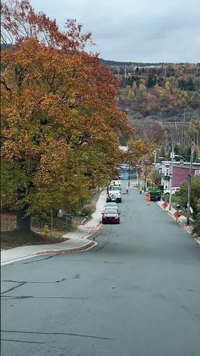 Beautiful Newfoundland. Leslie Street. St. John’s NL