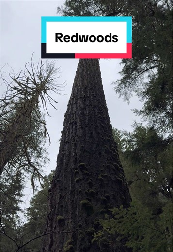 sun.scientist on TikTok