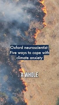 Oxford neuroscientist: Five ways to cope with climate anxiety 🌍