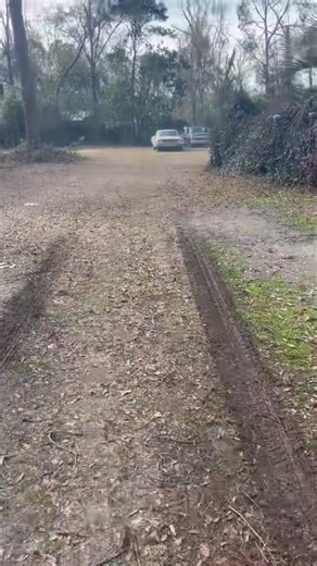 15K views · 750 reactions | Shannon caught me “moving” my car out of the shop… | Air Fuel Spark | Facebook