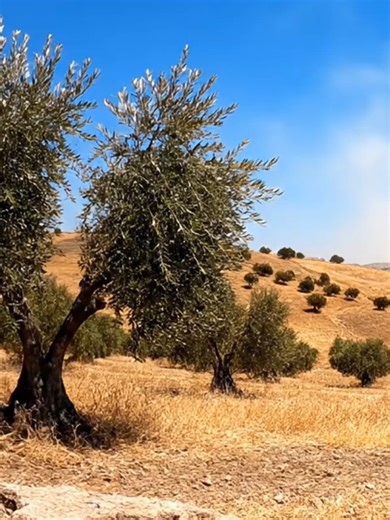 Could this sound charge your phone? Researchers at Satbayev University in Kazakhstan are working on a device to convert sound vibrations in the air into electricity. Designed to capture the frequencies of sounds commonly found in nature, the technology would be used to provide power in isolated areas. For instance, it could supply electricity to monitor conditions in crop fields. The device is still in the theoretical stage at present, but the researchers hope soon to be able to move on to worki
